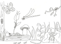 Coloriage_Petites_bêtes