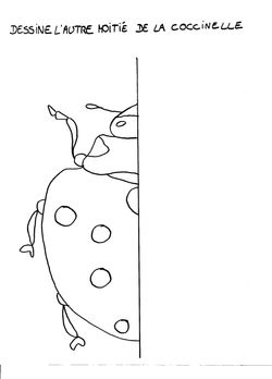 Coloriage_symetrie_coccinelle