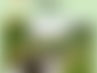 Les hortillonnages d'Amiens : la 2è étape de la famille Avélo