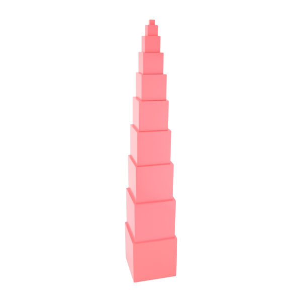 Tour rose