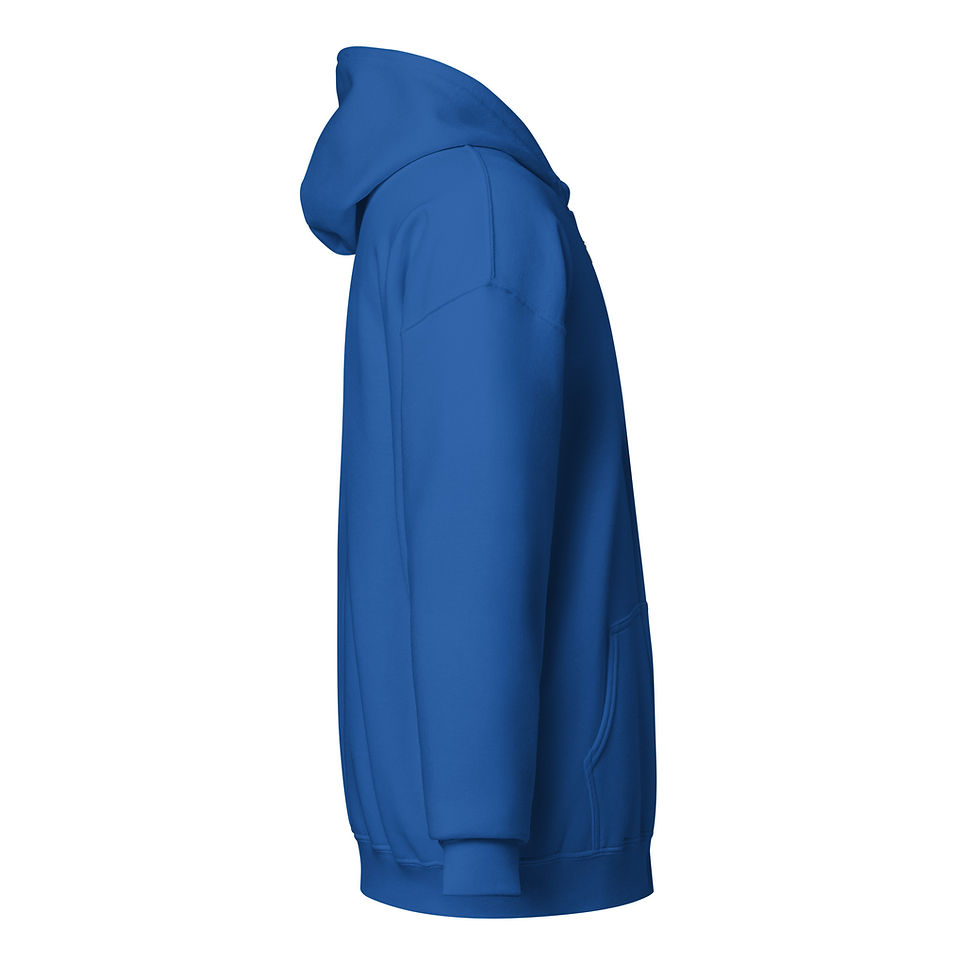 Thumbnail: DTV Clubhouse Series 1 Unisex heavy blend zip hoodie