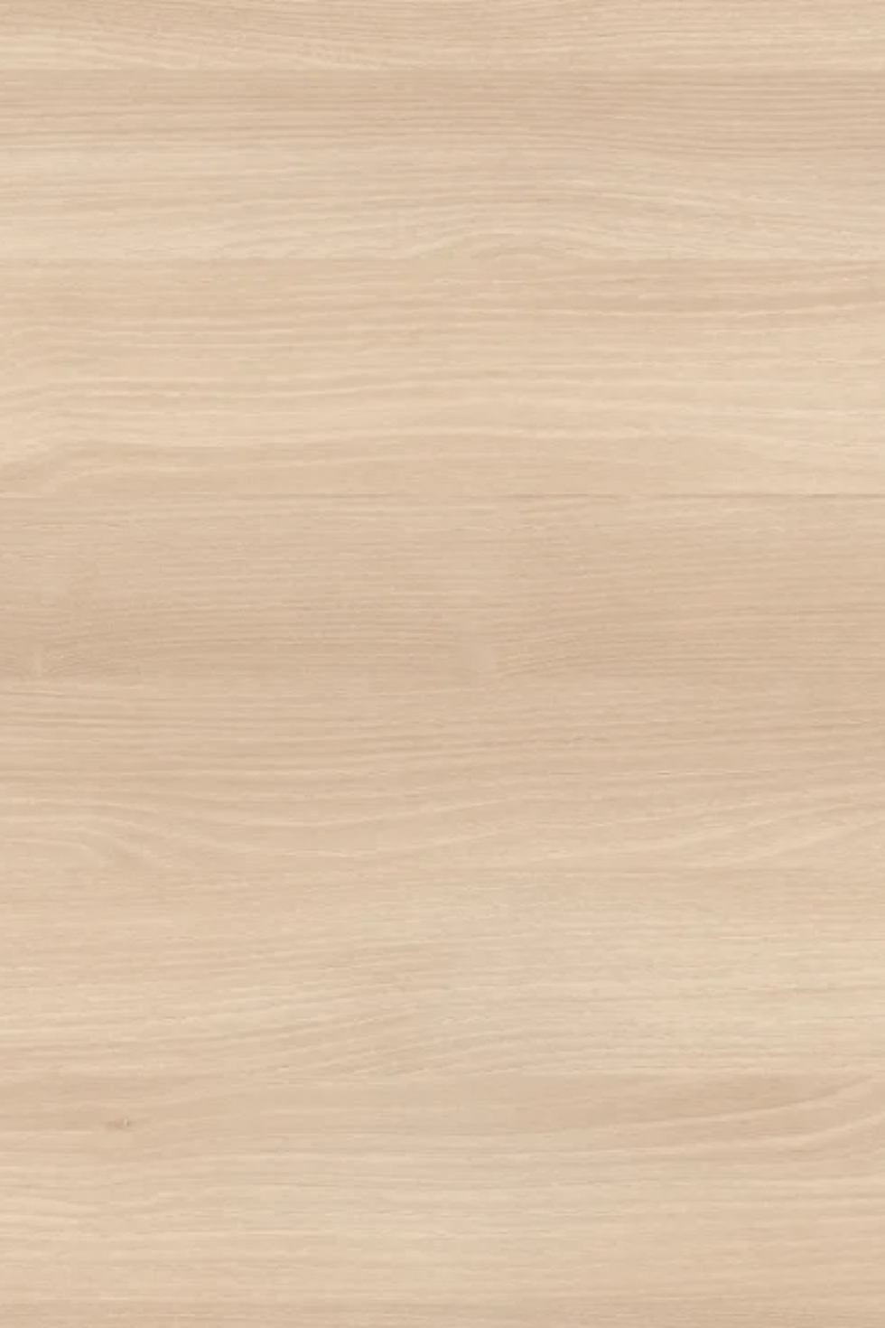 Light Lakeland Acacia