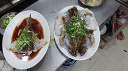 Steam Wild Patin 2.6kg in two plates