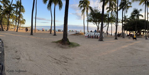 Waikiki Surfboards