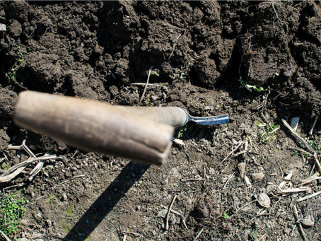 доступність калію у ґрунті