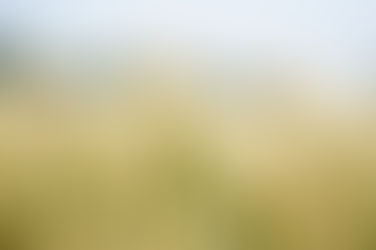 Калій, сірка, кальцій та магній у пом'якшенні стресу