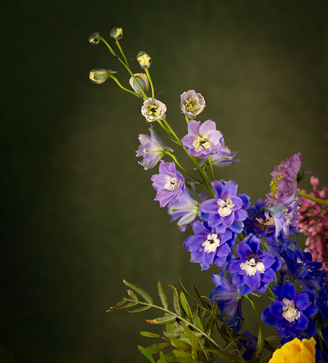 Miniatura: Elegante