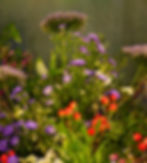 Miniatura: Natural