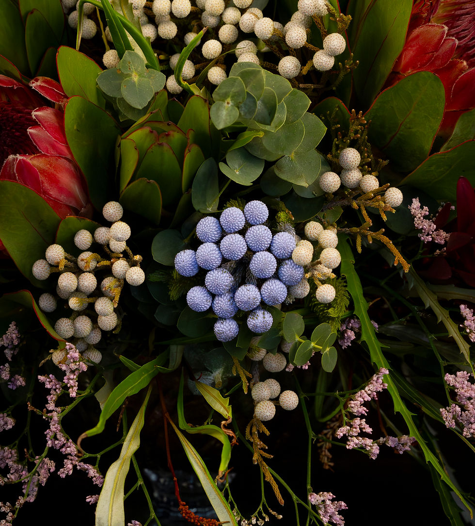 Miniatura: Tropical