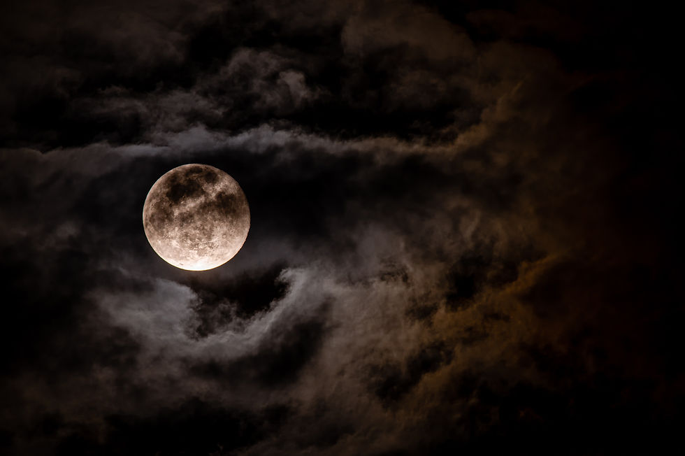 Full Moon Hike