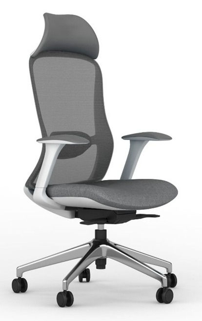 Ergonomic Vogue H.B Rev Chair