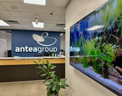 Antea Group Training Room AV