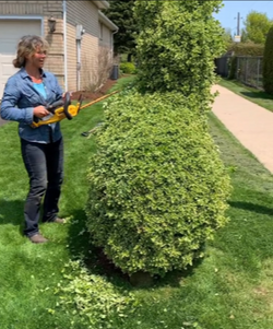 Screenshot 2026-02-24 131920