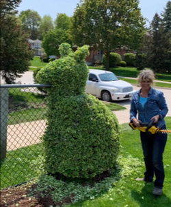 Screenshot 2026-02-24 125643