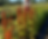f4e4b9b8-51e3-4b45-9f54-f67b639bdc16_edited.png