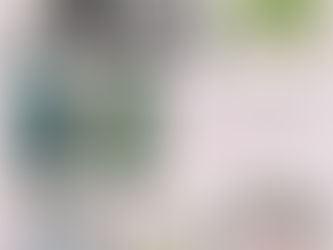 Mẫu 6 bài phát biểu lễ dạm ngõ họ nhà trai & nhà gái hay nhất