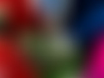 Mâm lễ dạm ngõ gồm những gì? Những điều cần biết về tráp dạm ngõ truyền thống