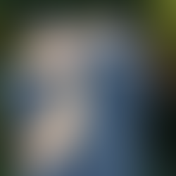 Drone conducting a roof inspection using high-resolution and thermal imaging technology