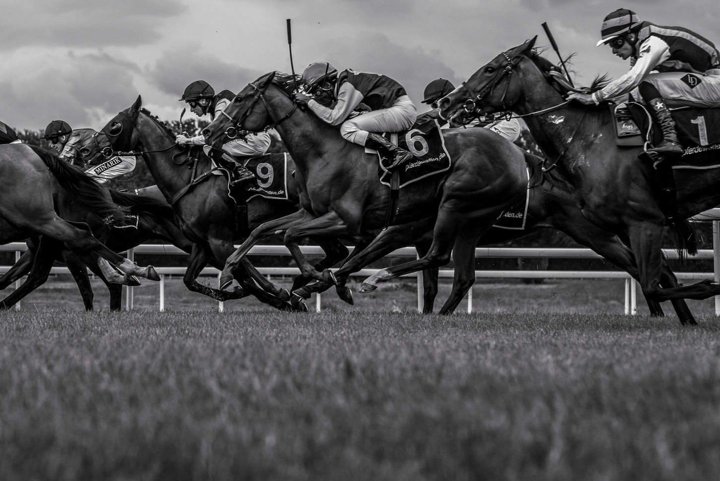 Pferderennen 