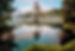 pascal-debrunner-qSY-XZgeYhM-unsplash(1).jpg