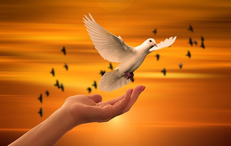 Lead with Spiritual Authority Photo.jpg