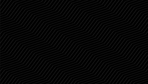 sl_0210121_40570_58.jpg