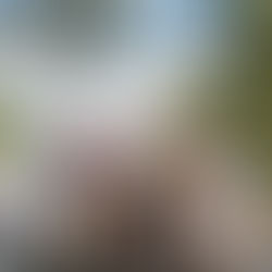 Firmapidu looduses – mis muutub, kui ruum vahetub?