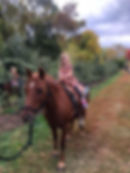 Pony Rides