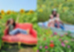 Sunflower Photo Ops