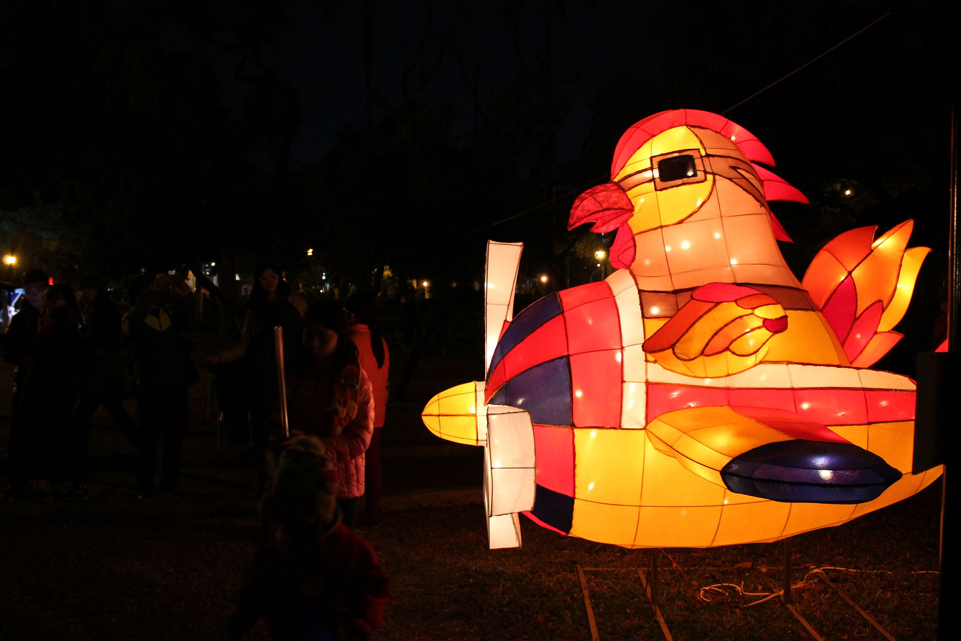 Rooster in a plane