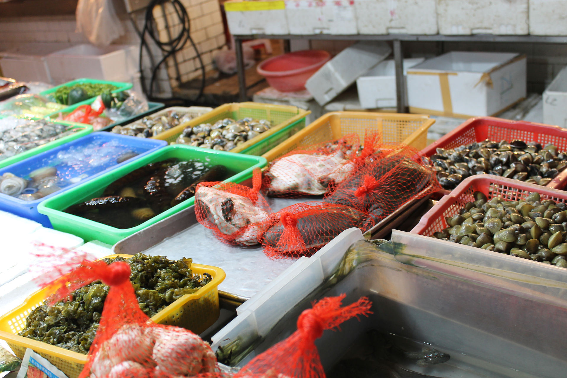 Fresh fish market