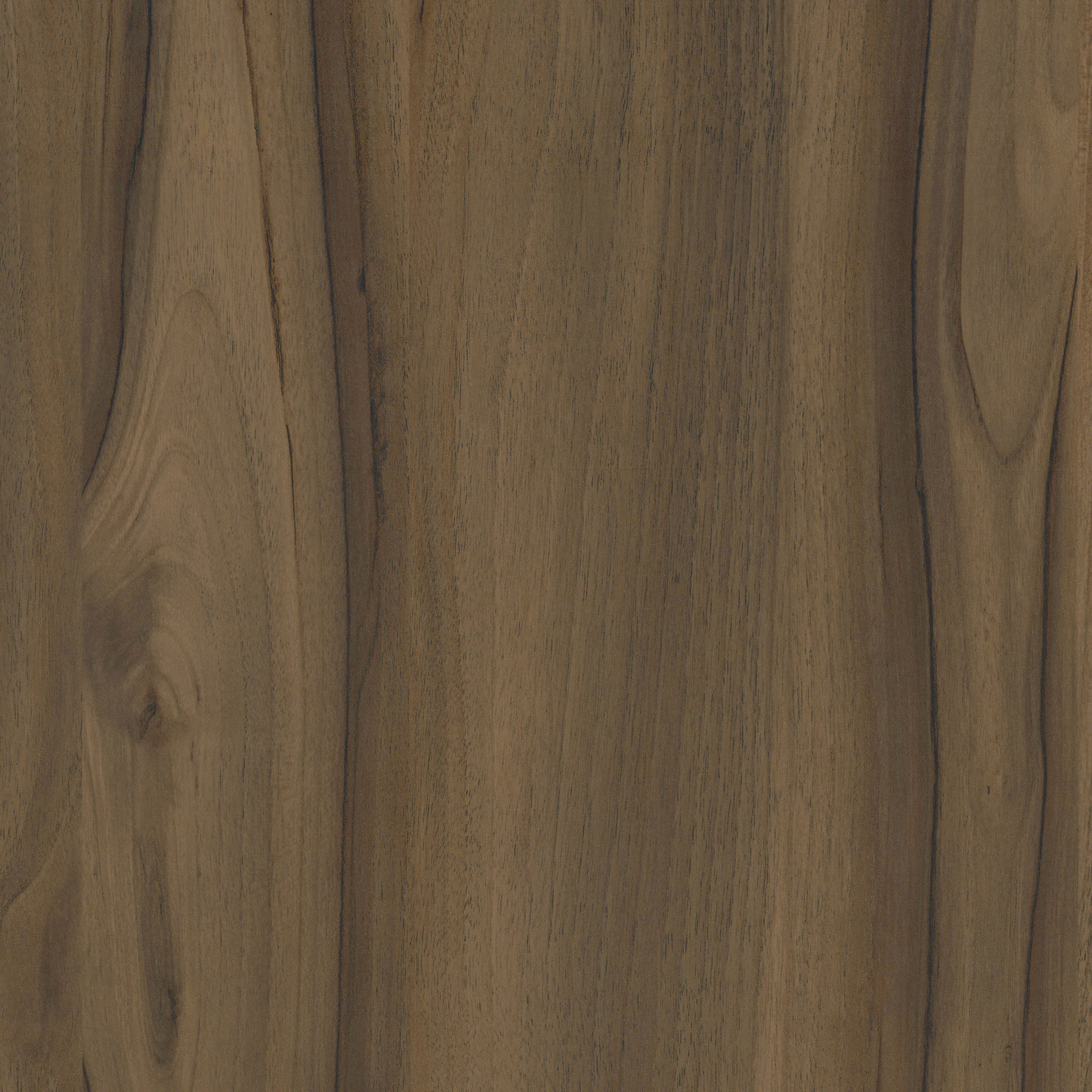 WF301 - Noce Vettore