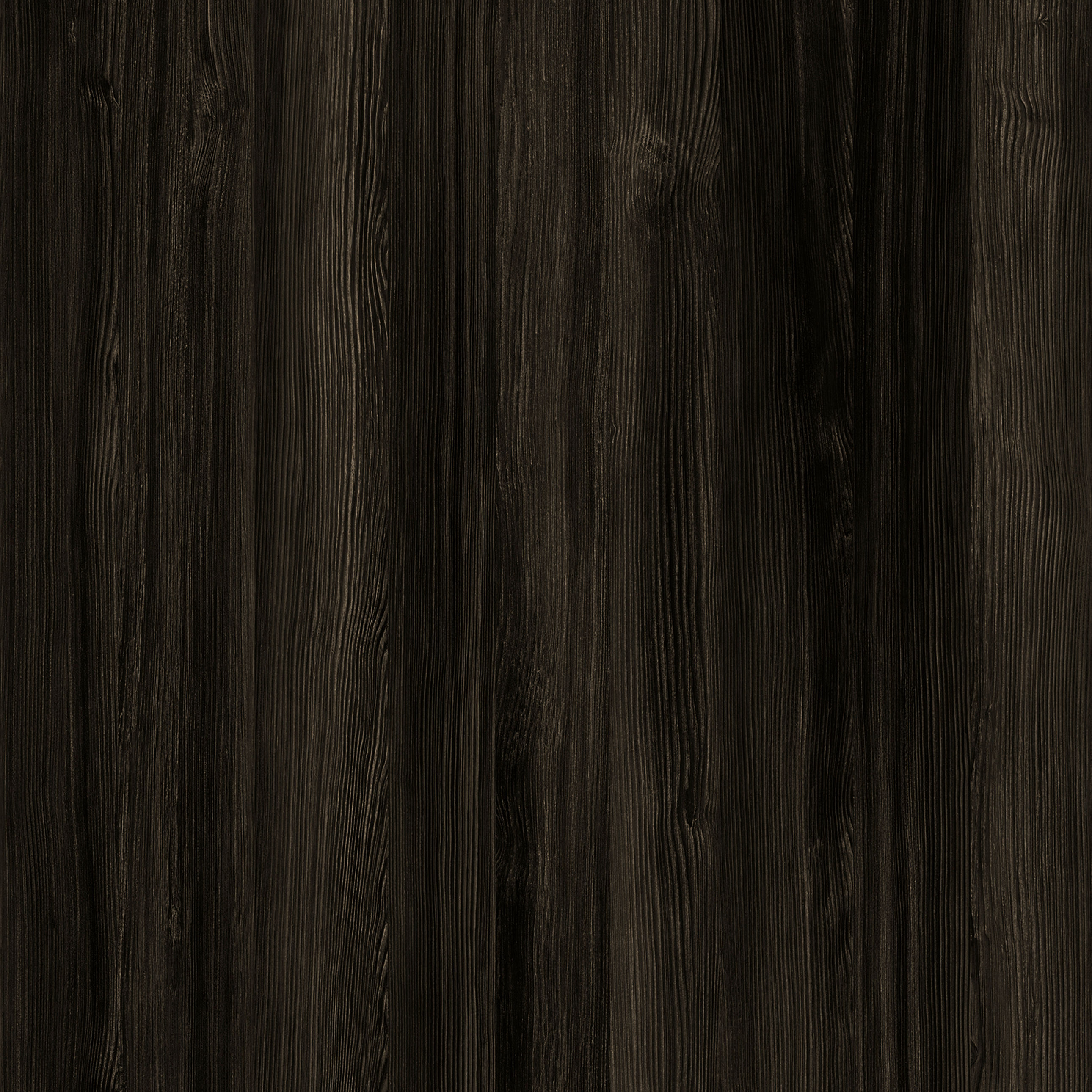 WF462 - Wallowa Pine