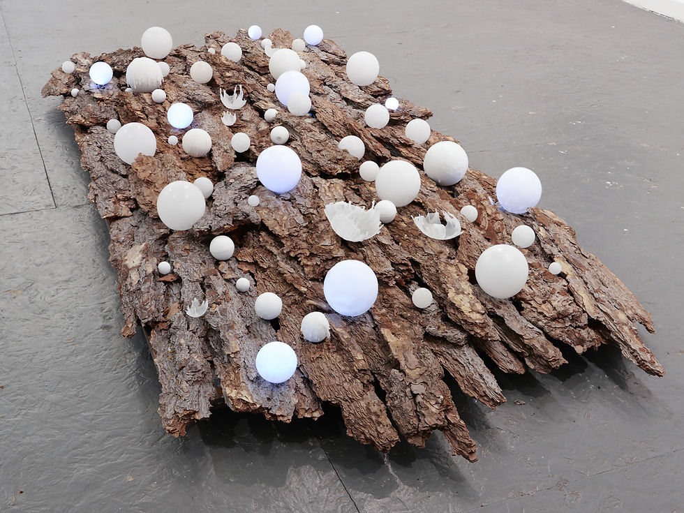 START Gallery | Darlene Baker | Oscillation and Ambivalence