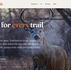 Scout Smarter This Season: AI Trail-Camera Management for Hunters