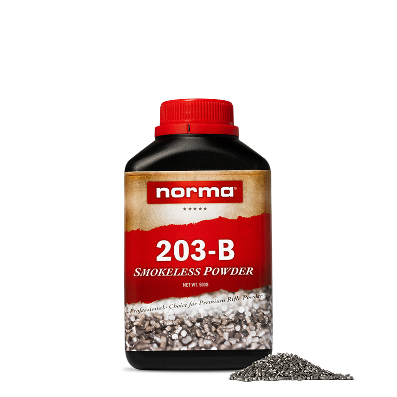203B