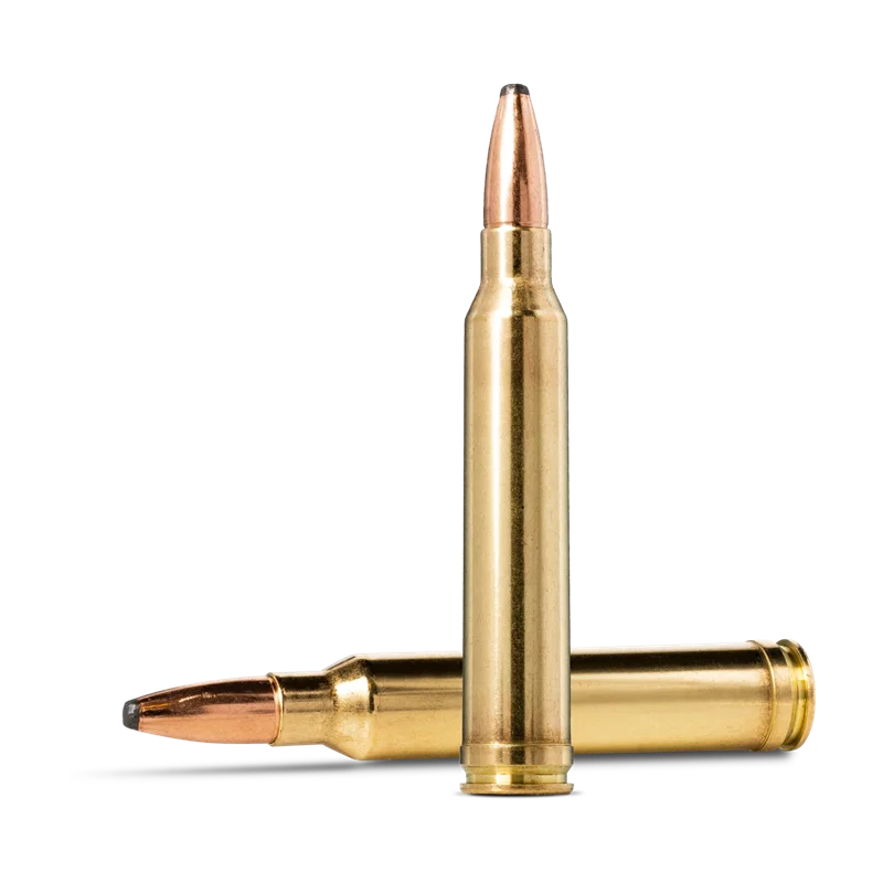.300 Win. Mag.