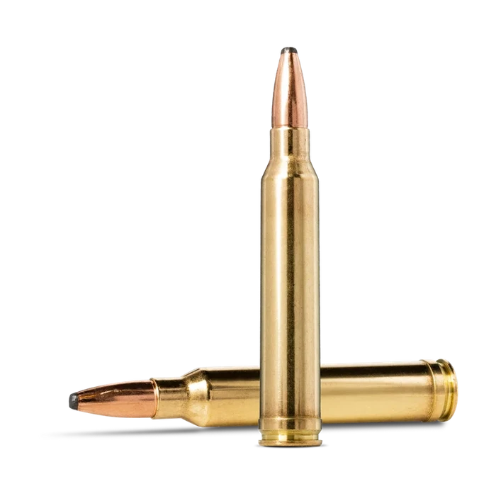 .300 Win. Mag. Cartridge