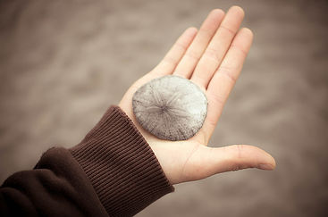 brown-gray-hands-preview.jpg