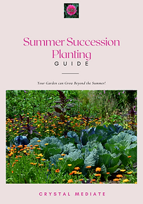 Summer Succession Planting guide.png