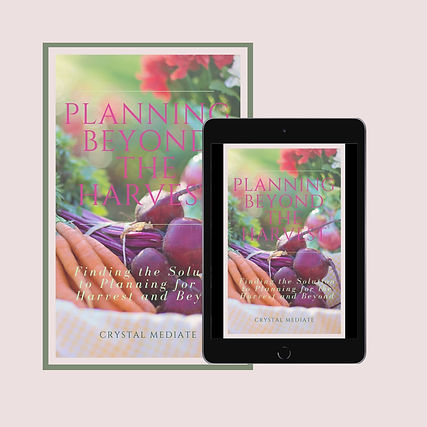 Store Mockups (1).jpg