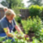 homestead mom reviewing routines and garden systems