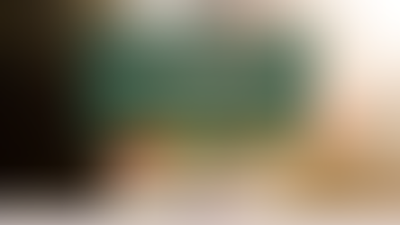 Essential Insights for New Homesteaders: What I Wish I Knew Starting Out