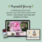 Find support on your Homestead Journey