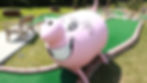 Pigs Gone AMUK.jpg