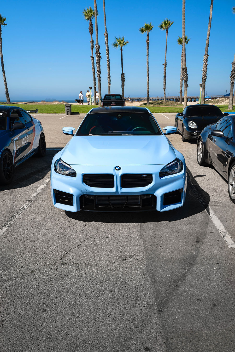 Ocean_Run_2024_10-08-2024-04-20-12 2