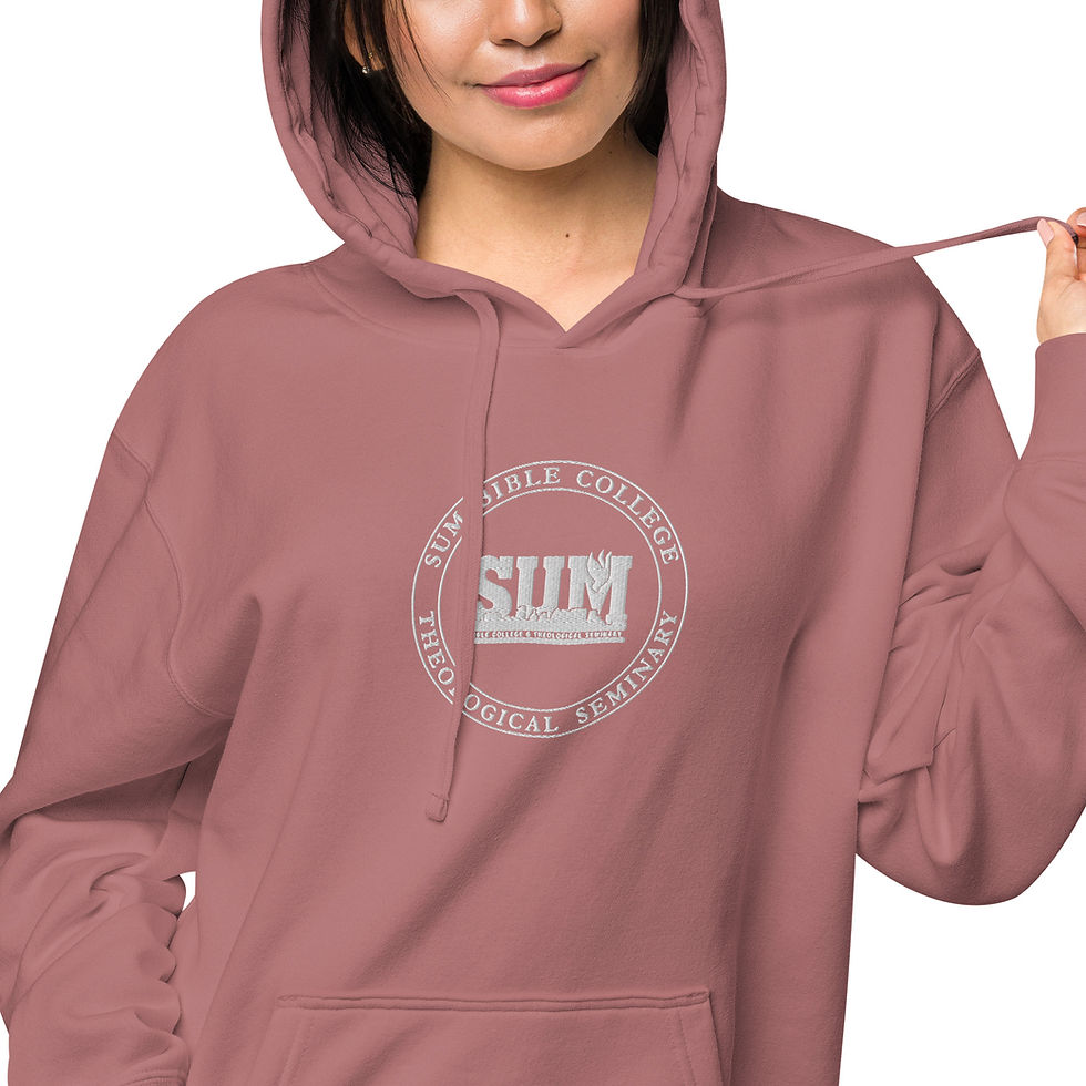 Thumbnail: Premium Unisex hoodie Embroidery Logo