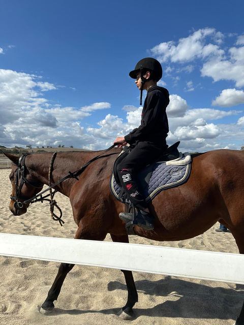 Young rider wearing a helmet on a brown horse
