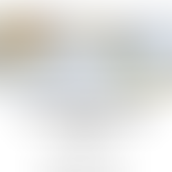 2025/03 - Art Basel Story "This artist got lost in the Gobi desert - and made an installation about it"