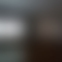 05/27/2022 - 'BIRDS Volume II,' Jeju Museum of Contemporary Art